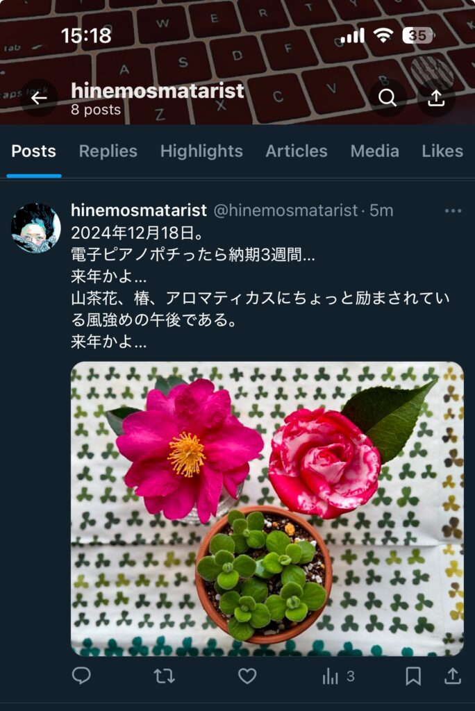 hinemosmatarist @hinemosmatarist 2024年12月18日。 電子ピアノポチったら納期3週間… 来年かよ… 山茶花、椿、アロマティカスにちょっと励まされている風強めの午後である。 来年かよ…